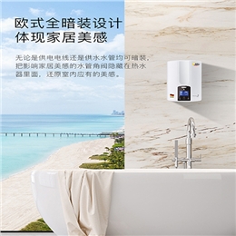 進口即熱式/數字智能全恒溫608CM